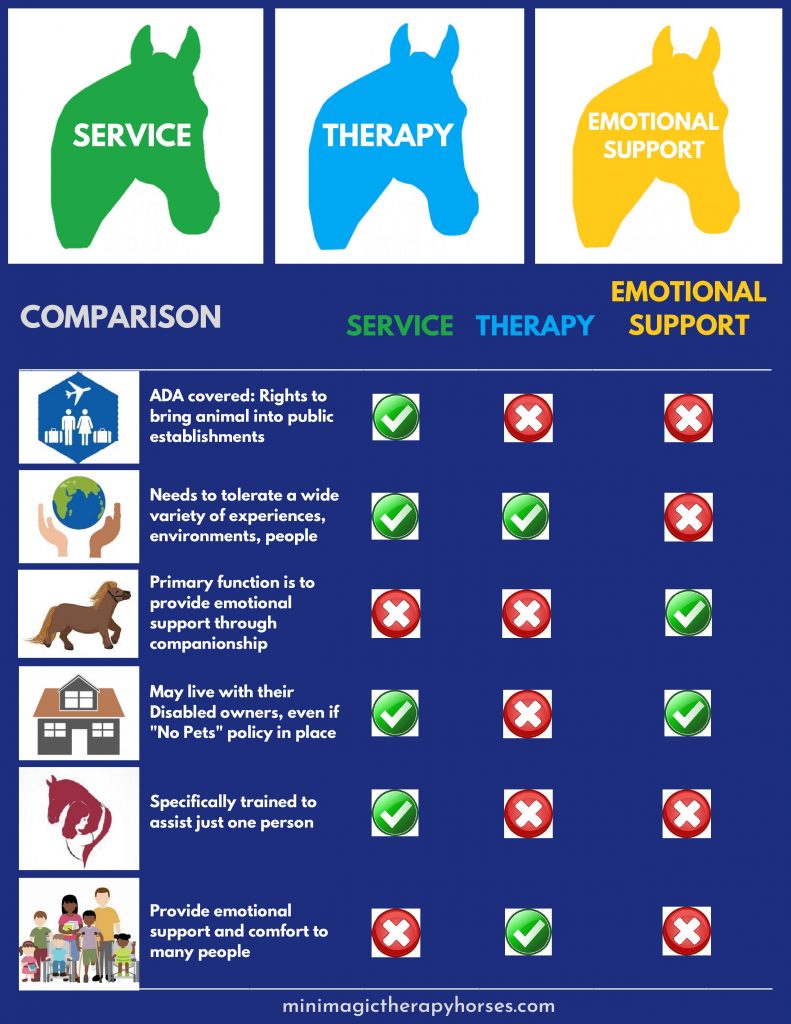 The difference between a service animal, therapy animal and an emotional support animal