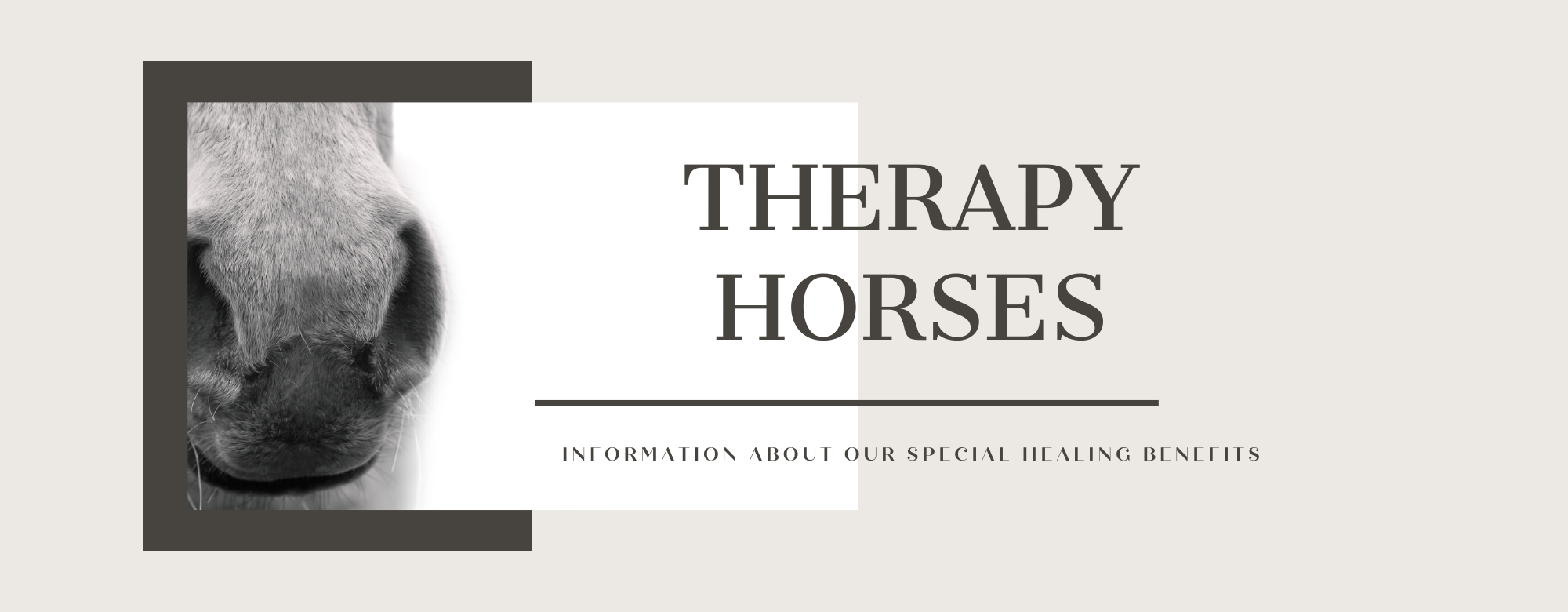 mini horse therapy horse equine-assisted therapy