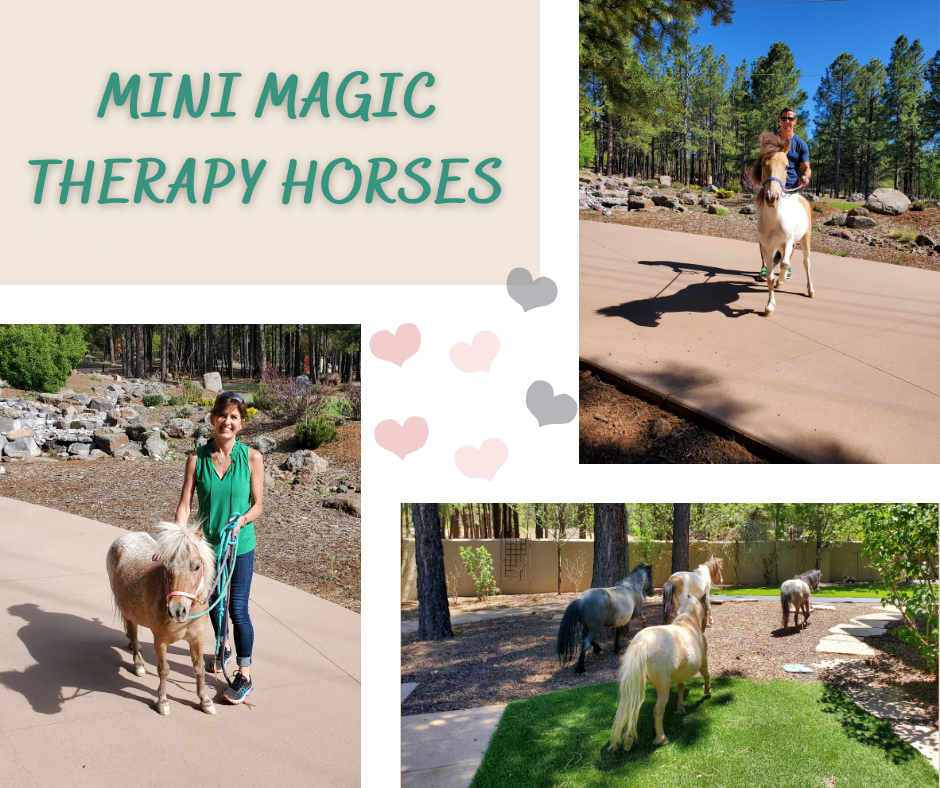 flagstaff therapy horses