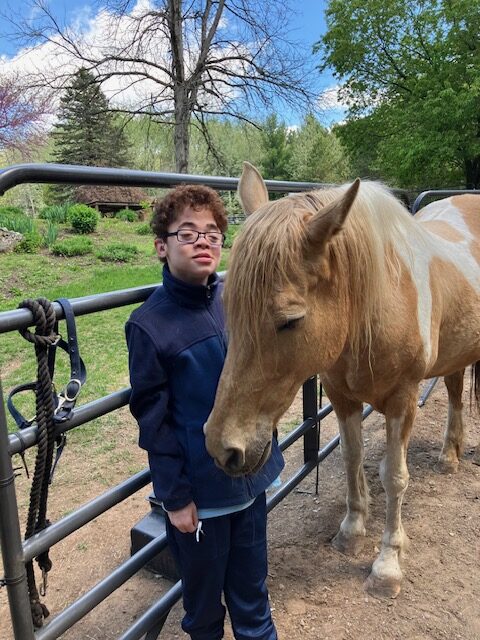 Young person sharing a quiet moment with a horse at Mini Magic Therapy Horses in Wisconsin