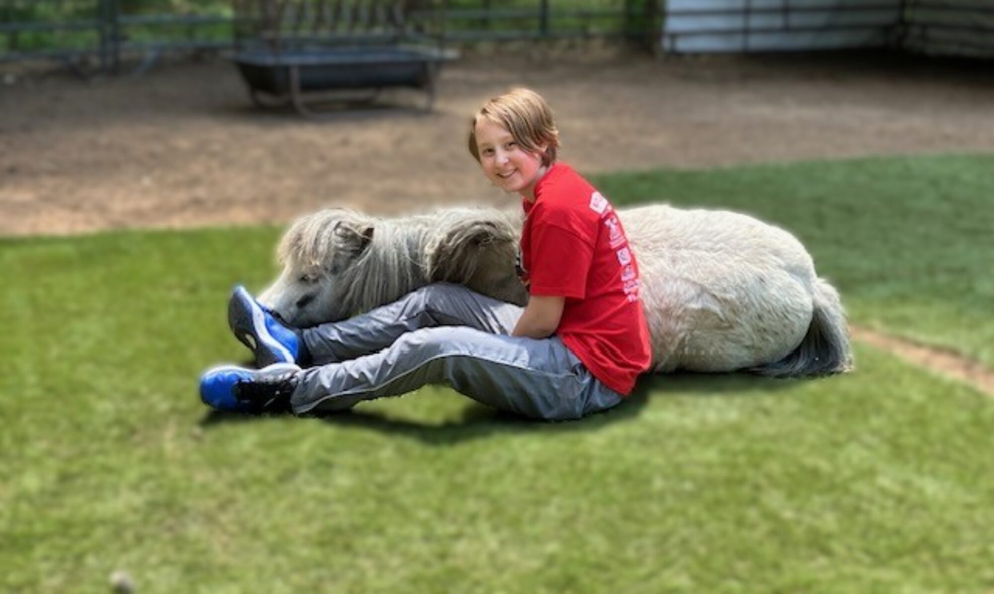 Young person sharing a quiet moment with a miniature therapy horse at Mini Magic Therapy Horses in Wisconsin